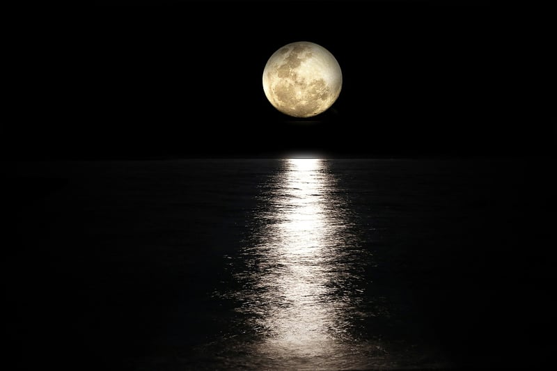 Moon Gazing